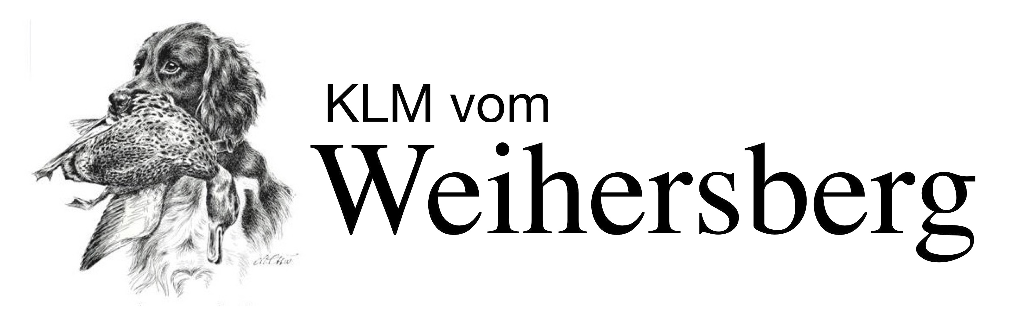 Kleine Münsterländer vom Weihersberg